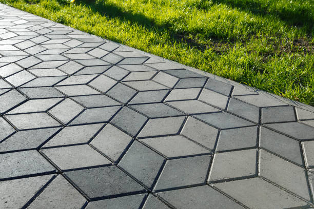 Best Driveway Paving Near Me  in Maynardville, TN