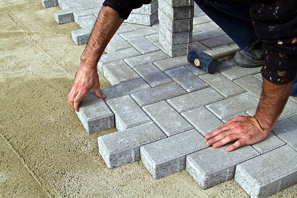 Best Driveway Paving Contractor  in Maynardville, TN